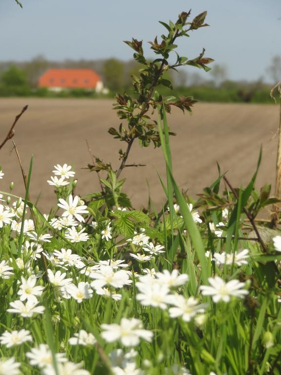 Land & Meer Hasselberg  Eksteriør bilde